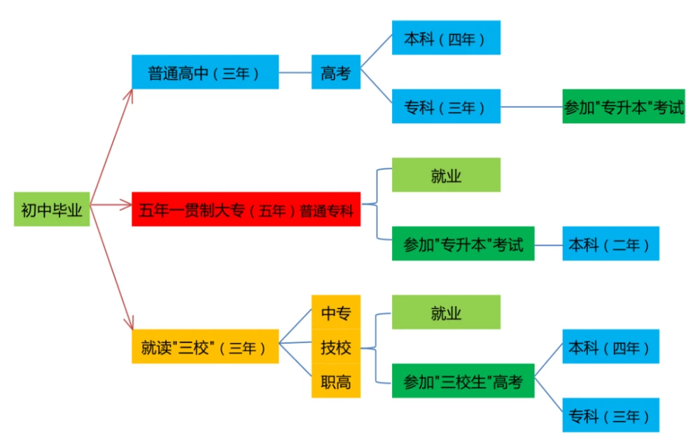 职高女孩逆袭成双一流大学研究生（赵殷樱用9年完成人生逆袭）插图6