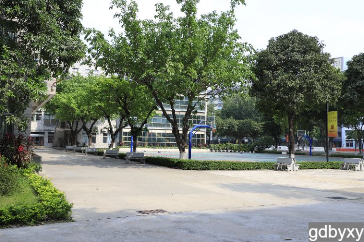 广东省技校有哪些学校好 2024年广东技工学校排名插图